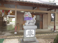 Medium_img_9000