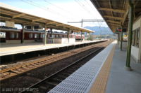 Medium_img_4309
