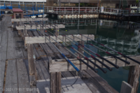 Medium_imgp0021