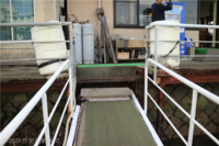 Medium_img_3748