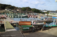 Medium_img_3756
