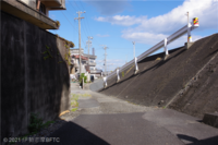 Medium_imgp3775
