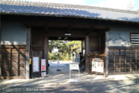 Medium_img_6957
