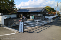 Medium_img_6959