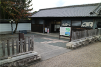 Medium_img_7059