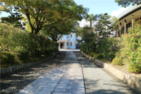 Medium_img_6716