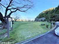 Medium_67c04002-2369-4528-adb0-9f3d56b4c760