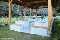 Medium_img_4080