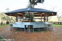 Medium_img_4081