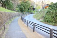 Medium_img_4048