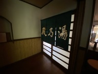 Medium_img_3501
