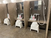 Medium_img_1186