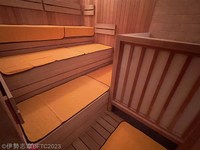 Medium_img_1174