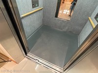 Medium_img_2575