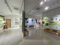 Medium_img_2594