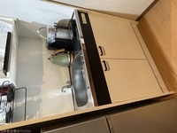 Medium_img_4887