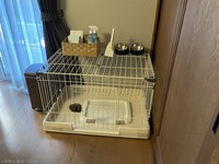 Medium_img_4895
