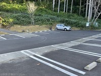 Medium_img_4903