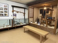 Medium_img_2490