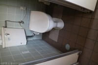 Medium_img_5265