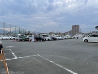 Medium_img_2753