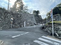 Medium_img_2554