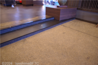 Medium_imgp6695