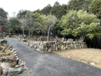 Medium_img_5769