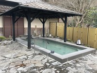Medium_img_5686