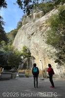 Medium_2-7img_2651