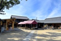 Medium_0-1img_2648