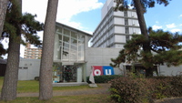 Medium_dji_0245